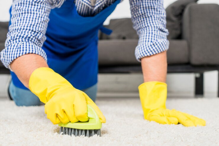 Atascocita Professional Carpet Cleaners